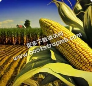 2026足球狂欢季已开启 - PG官网