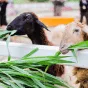搜索 - PG官网